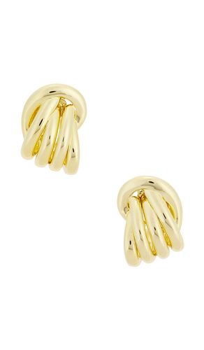 Roux Earrings in Metallic - SHASHI - Modalova
