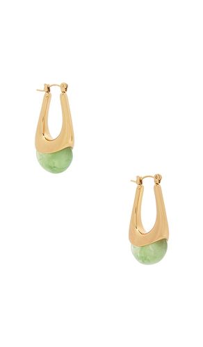 Elysse Hoop in - SHASHI - Modalova
