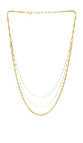 Lenox Chain Necklace in - SHASHI - Modalova
