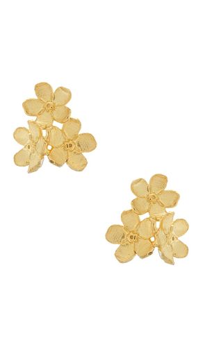 Chinoiserie Stud Earrings in - SHASHI - Modalova
