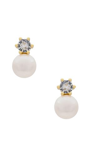 Bliss stud earrings in color metallic size all - SHASHI - Modalova