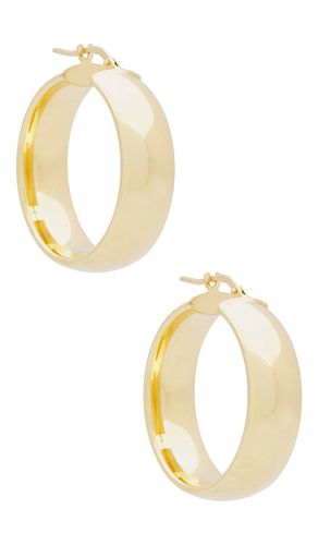 SHASHI Frame Hoop in Metallic Gold - SHASHI - Modalova