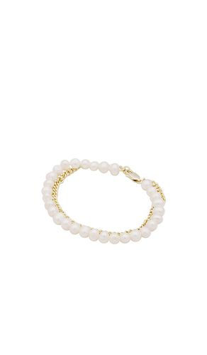 Pearl Chain Bracelet in - SHASHI - Modalova