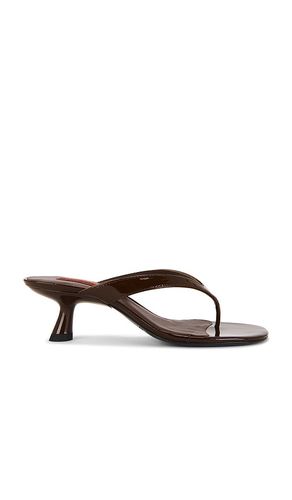 Beep Thong Sandal in . - size 36 (also in 37, 38, 39, 40, 41) - SIMONMILLER - Modalova