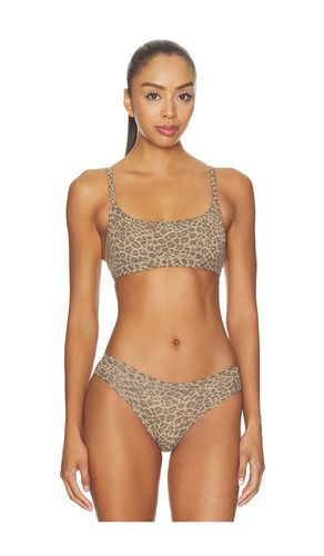 Fits Everybody Scoop Bralette in Brown. - size M (also in S, XS, XXS) - SKIMS - Modalova