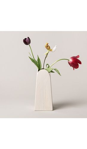 SIN Olto Tall Vase in Cream - SIN - Modalova