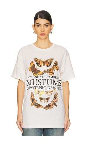 Cambridge Museums Tee in Beige. - size L (also in M, S, XL/1X, XS) - SIXTHREESEVEN - Modalova