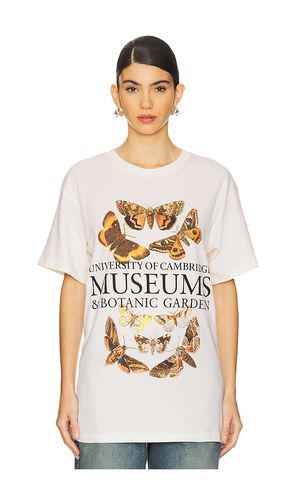 Camiseta cambridge museums en color beige talla L en - Beige. Talla L (también en M, S, XL/1X, XS) - SIXTHREESEVEN - Modalova