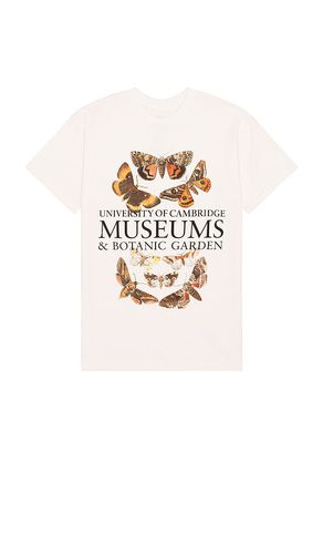 Cambridge Museums Tee in Beige. - size L (also in M, S, XL/1X, XS) - SIXTHREESEVEN - Modalova