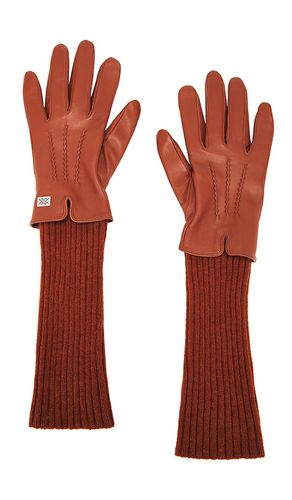 Carmel-n Gloves in Brown. - size L (also in M, S) - Soia & Kyo - Modalova