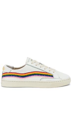Rainbow Wave Sneaker in . Size 5.5, 6, 6.5, 7 - Soludos - Modalova