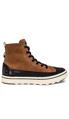 Cheyanne Metro Ii Sneak in Brown. - size 10 (also in 11, 12, 8) - Sorel - Modalova