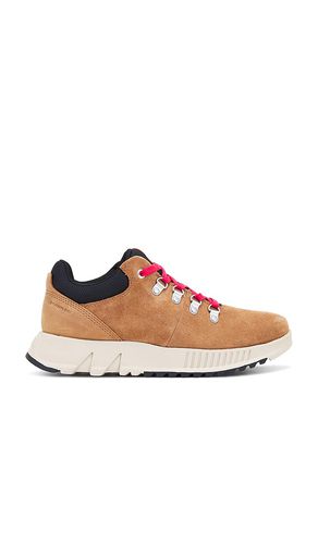 Mac Hill Lite Hiker Low Wp in Brown. - size 10 (also in 11, 12, 8, 9) - Sorel - Modalova