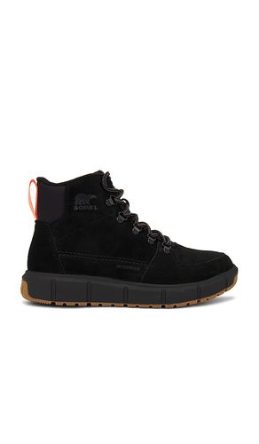 Explorer Iii Blazer Wp in . - size 10 (also in 8) - Sorel - Modalova