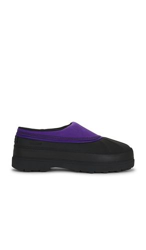 SCHUH AMBLER WP in . Größe 8. Also in 9, 10, 11, 12 - Sorel - Modalova