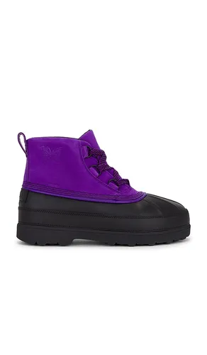 SCHUH AMBLER in . Größe 10. Also in 11, 12, 8, 9 - Sorel - Modalova
