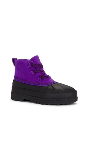 X Needles Ambler Chukka Wp Boot in . Size 10. Also in 11, 12, 8, 9 - Sorel - Modalova