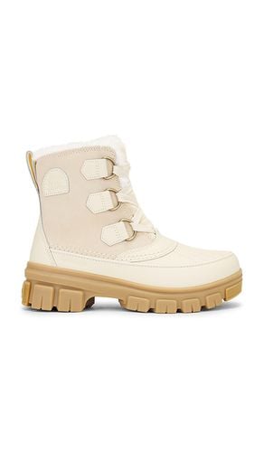 BOOT TIVOLI in . Size 6, 6.5, 7, 7.5, 8, 8.5, 9, 9.5 - Sorel - Modalova