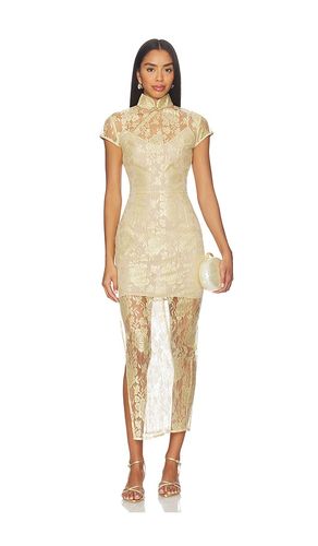 Malia Lace Dress in Yellow. - size 00 (also in 8) - SAU LEE - Modalova