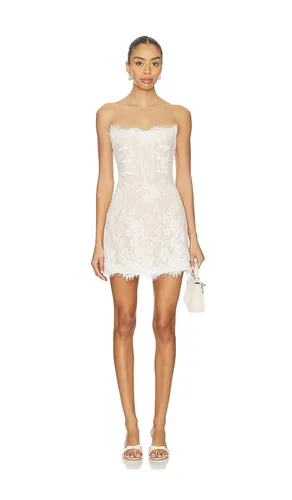 Sasha Lace Dress in . - size 10 (also in 12) - SAU LEE - Modalova