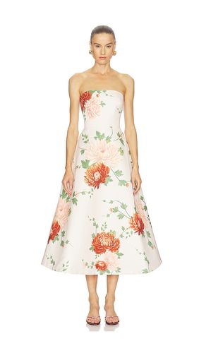 Fiora Dress in . Size 0. Also in 00, 6 - SAU LEE - Modalova
