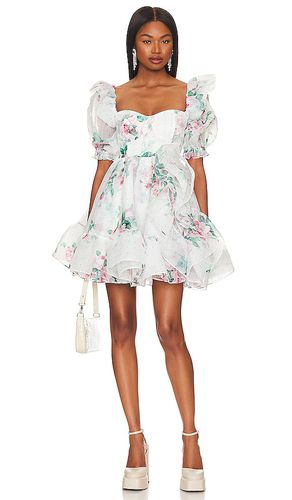 X REVOLVE The Bebe Bloom Dress in . Size 6X - Selkie - Modalova