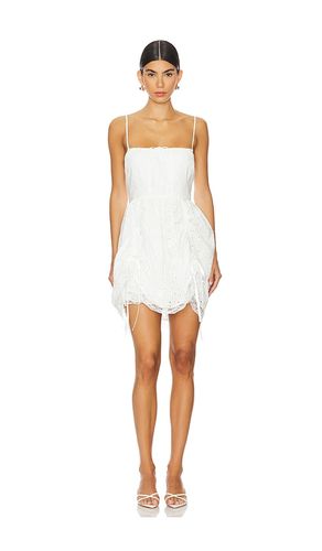 The Mini Theater Dress in . Size 6X. Also in M, S - Selkie - Modalova