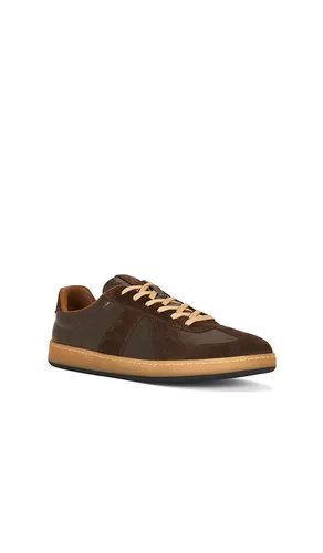 SNEAKERS DELMAREI in . Größe 8.5. Also in 9, 10.5, 11.5 - Steve Madden - Modalova
