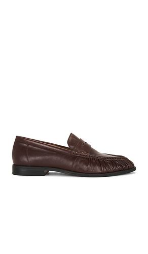 SCHUH QUEST in . Größe 10. Also in 10.5, 8, 9, 9.5 - Steve Madden - Modalova