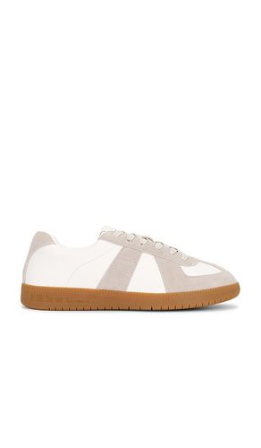 SNEAKERS DIXON in . Größe 8. Also in 8.5, 9, 9.5, 10, 10.5, 11, 11.5, 12 - Steve Madden - Modalova