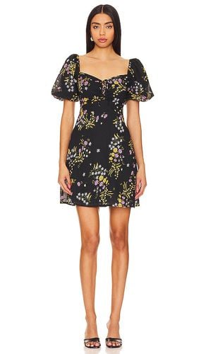 Violeta Dress in . - size L (also in M, S, XL, XS) - Steve Madden - Modalova