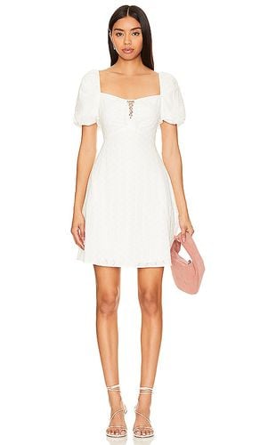 Violeta Dress in . Taglia L - Steve Madden - Modalova