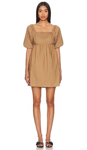 Inara Dress in . Taglia M, S, XL, XS - Steve Madden - Modalova