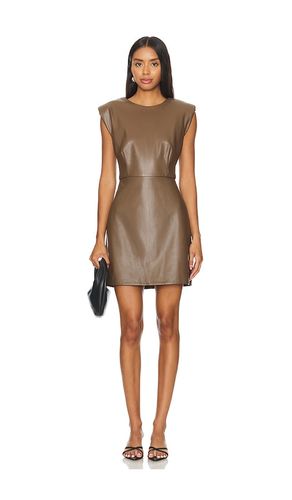 Belen Dress in Brown. - size 0 (also in 2, 4) - Steve Madden - Modalova