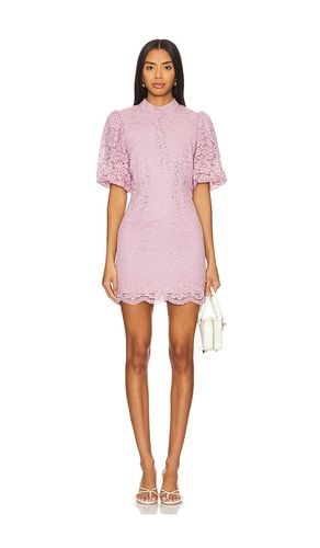 Diya Dress in Mauve. - size 10 (also in 12, 4, 8) - Steve Madden - Modalova