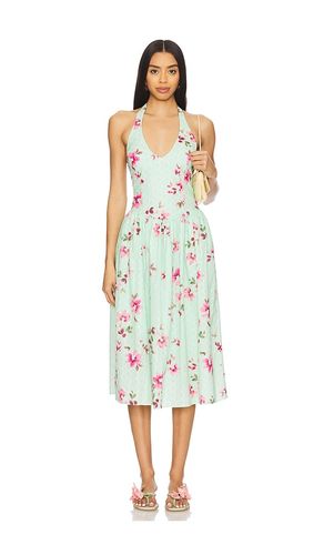 Ressi Dress in . - size L (also in M, S, XL) - Steve Madden - Modalova