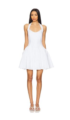 Yala Dress in . - size 0 (also in 10, 2, 4, 6, 8) - Steve Madden - Modalova