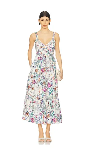 Eliora Dress in ,. Size L. Also in XL - Steve Madden - Modalova