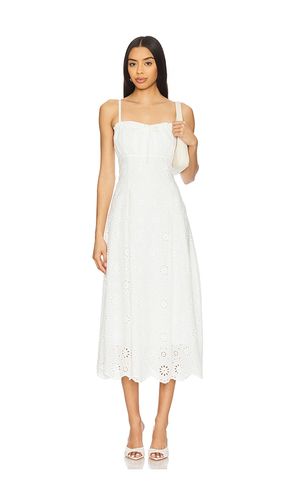 Ava Dress in . - size L (also in M, S, XL) - Steve Madden - Modalova