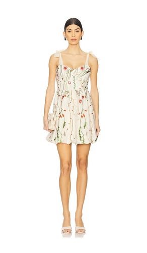 Kavala Dress in Cream. - size 0 (also in 10, 2, 4, 6, 8) - Steve Madden - Modalova