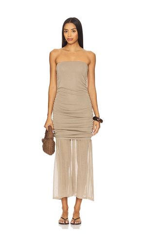 Lula Dress in Taupe. - size L (also in M, S, XL) - Steve Madden - Modalova