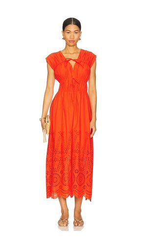 Clementina Dress in . - size M (also in S, XL, XS) - Steve Madden - Modalova