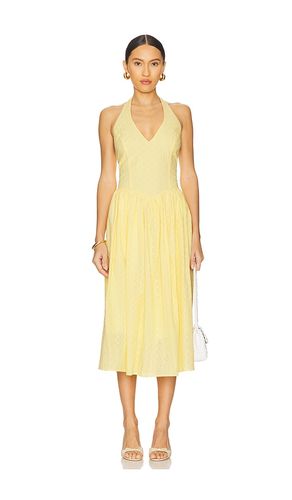 Ressi Dress in Yellow. - size L (also in M, S, XL) - Steve Madden - Modalova