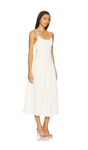 Toby Dress in . Size L. Also in M - Steve Madden - Modalova