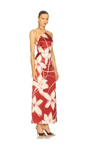 Oaklyn Dress in . Size 0. Also in 10, 2, 4, 8 - Steve Madden - Modalova