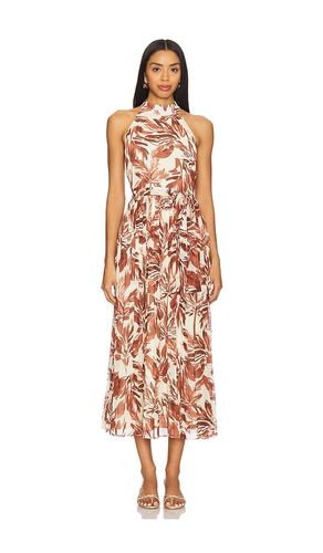 Rosemary Dress in Rust. - size 0 (also in 10, 14, 2, 4, 6, 8) - Steve Madden - Modalova