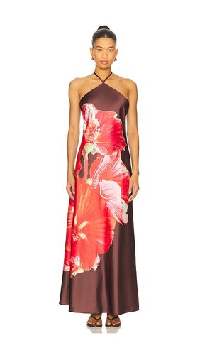 Flora Dress in Chocolate. - size 0 (also in 2, 4, 6, 8) - Steve Madden - Modalova