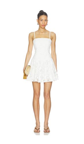 Giada Dress in . Size 10. Also in 4, 8 - Steve Madden - Modalova