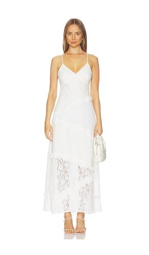 Giah Dress in . Size 0. Also in 12, 2, 8 - Steve Madden - Modalova