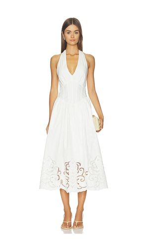 KLEID MARGIE in . Größe 2. Also in 4, 10 - Steve Madden - Modalova